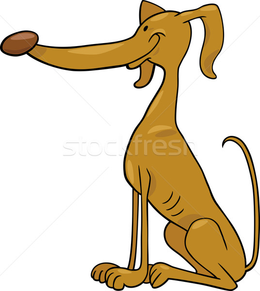greyhound dog cartoon illustration Stock photo © izakowski