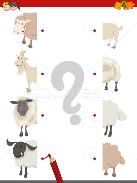Match moutons cartoon illustration correspondant [[stock_photo]] © izakowski