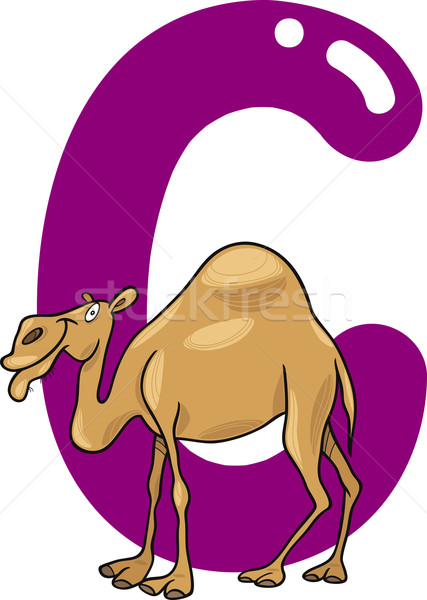 C for camel Stock photo © izakowski
