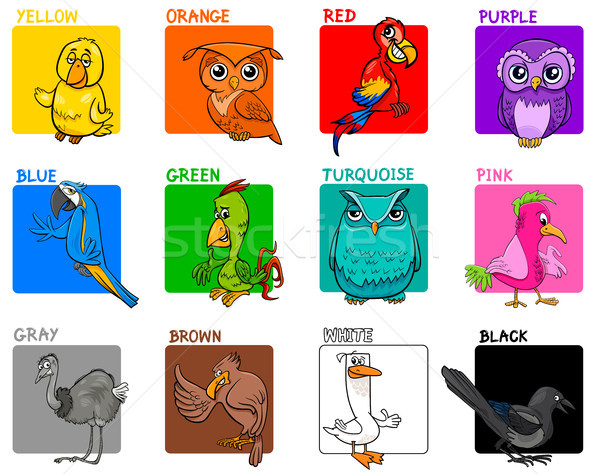 фундаментальный цветами Cartoon образовательный набор птиц Сток-фото © izakowski
