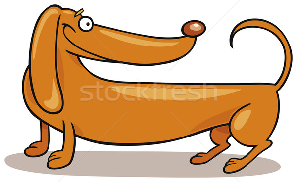 Bassê cão desenho animado ilustração arte Foto stock © izakowski