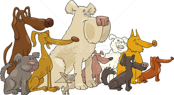 Foto stock: Sessão · cães · desenho · animado · ilustração · grupo · cão