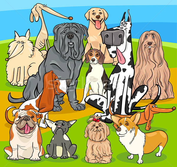 purebred dogs cartoon characters group Stock photo © izakowski
