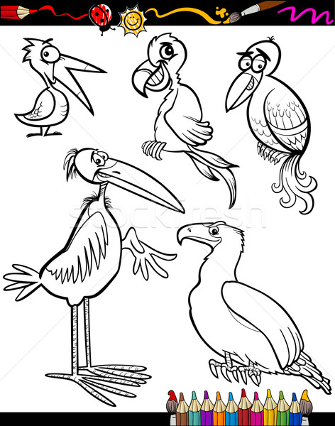 Cartoon Birds for Coloring Book Stock photo © izakowski