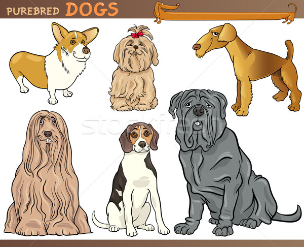 purebred dogs cartoon illustration set Stock photo © izakowski