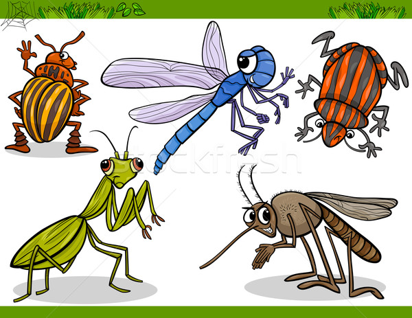 happy insects set cartoon illustration Stock photo © izakowski