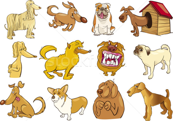 Karikatur Hunde Set Illustration funny unterschiedlich Stock foto © izakowski