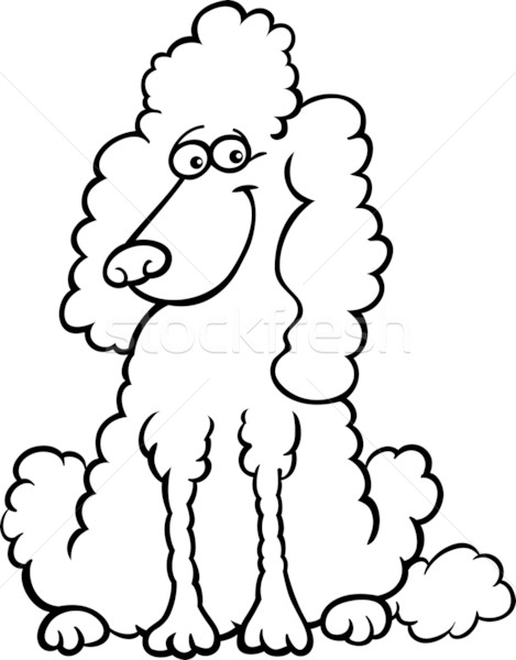 Stock photo: poodle dog cartoon for coloring book