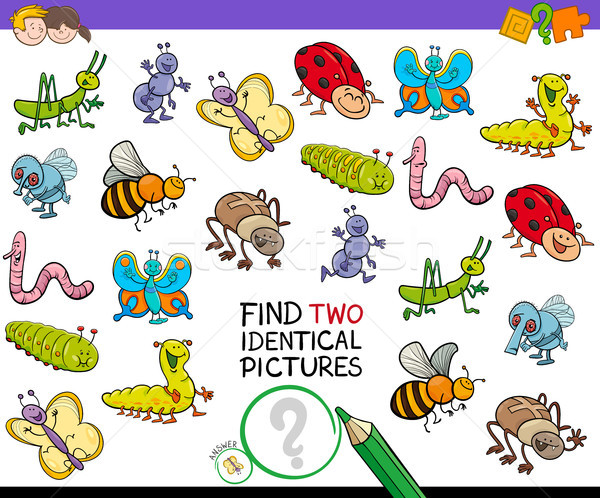 find two identical bug pictures game for kids Stock photo © izakowski