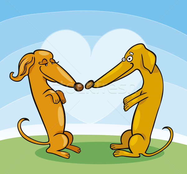 Dachshund Dogs in Love Stock photo © izakowski