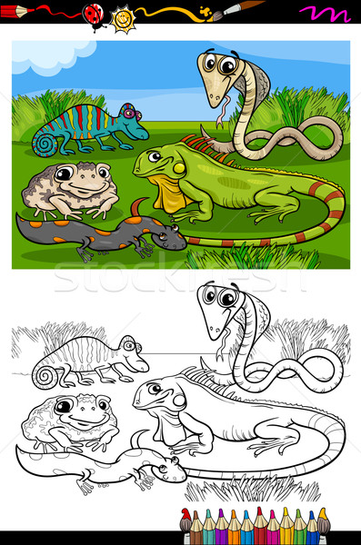 reptiles and amphibians coloring book Stock photo © izakowski