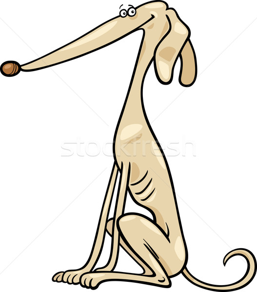 グレイハウンド 犬 漫画 実例 面白い ストックフォト © izakowski
