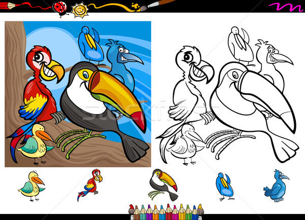 exotic birds cartoon coloring page set Stock photo © izakowski