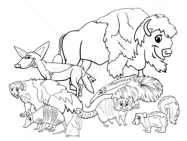 American animals cartoon coloring book Stock photo © izakowski