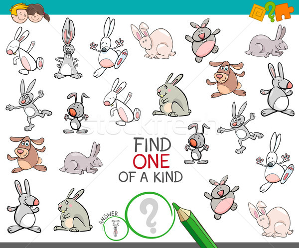 find one of a kind with rabbits animal characters Stock photo © izakowski