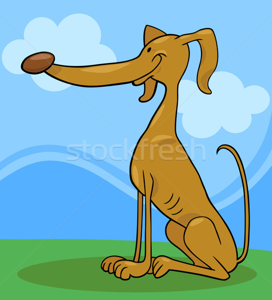 greyhound dog cartoon illustration Stock photo © izakowski