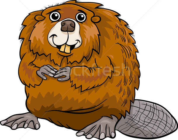 beaver animal cartoon illustration Stock photo © izakowski