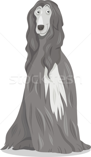 afghan hound dog cartoon Stock photo © izakowski