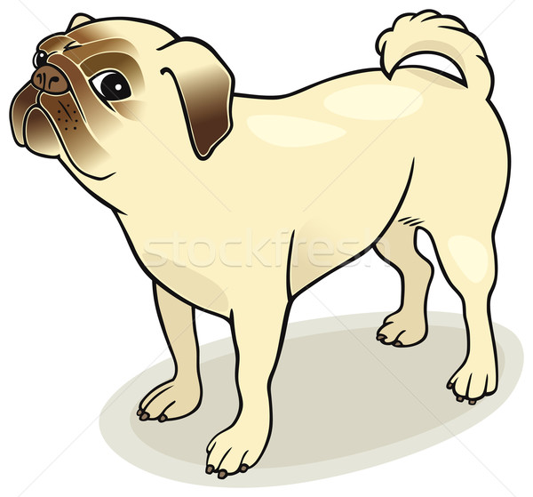 Stockfoto: Hond · illustratie · ogen · grafische · huisdier
