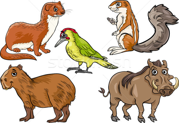 Wilde Tiere Set Karikatur Illustration funny Zeichen Stock foto © izakowski