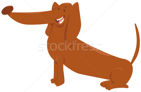 Bassê cão desenho animado ilustração engraçado Foto stock © izakowski