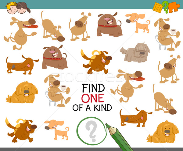 find one of a kind with dogs Stock photo © izakowski