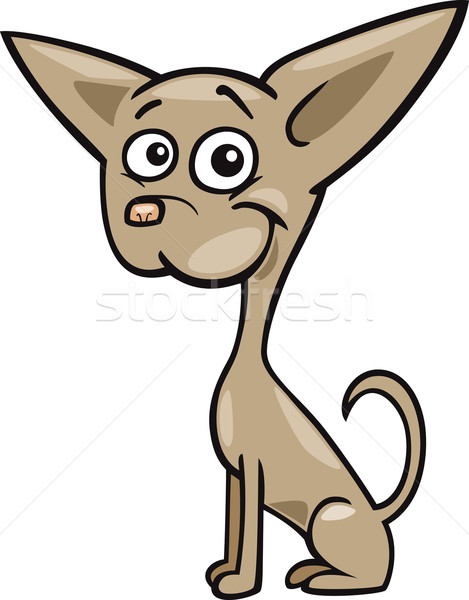 Chihuahua dog cartoon illustration Stock photo © izakowski