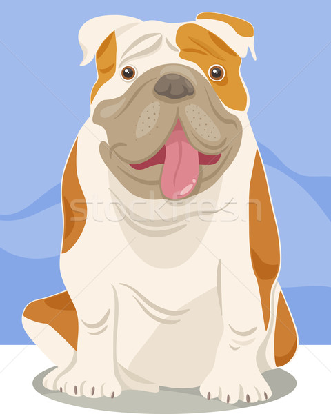 Inglês buldogue cão desenho animado ilustração engraçado Foto stock © izakowski