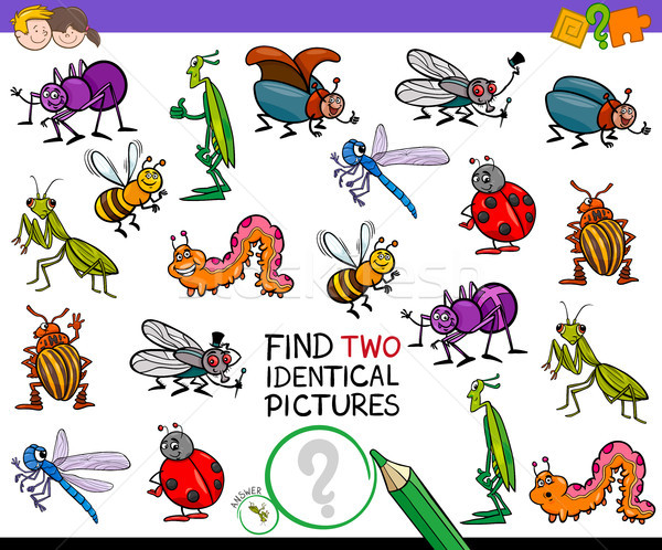 find two identical cartoon insects game for kids Stock photo © izakowski