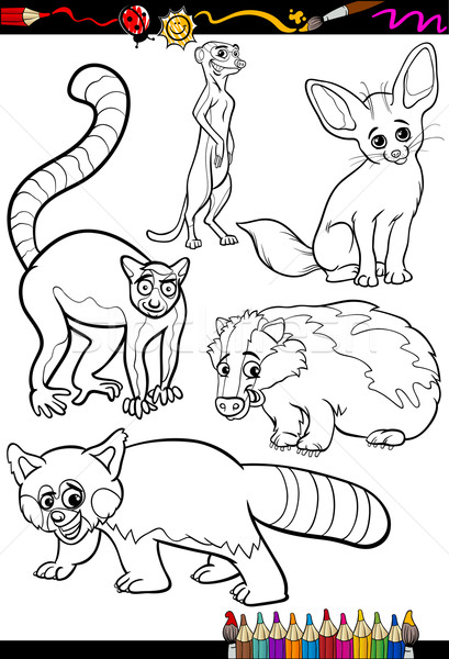 Stok fotoğraf: Vahşi · hayvanlar · ayarlamak · boyama · kitabı · sayfa · karikatür · örnek