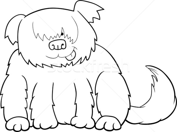 Desenho animado ilustração engraçado desgrenhado cão Foto stock © izakowski