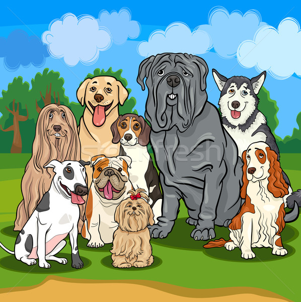 Fajtiszta kutyák rajz illusztráció illusztrációk vicces Stock fotó © izakowski