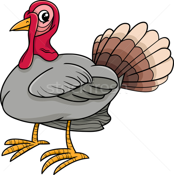 turkey bird farm animal cartoon Stock photo © izakowski