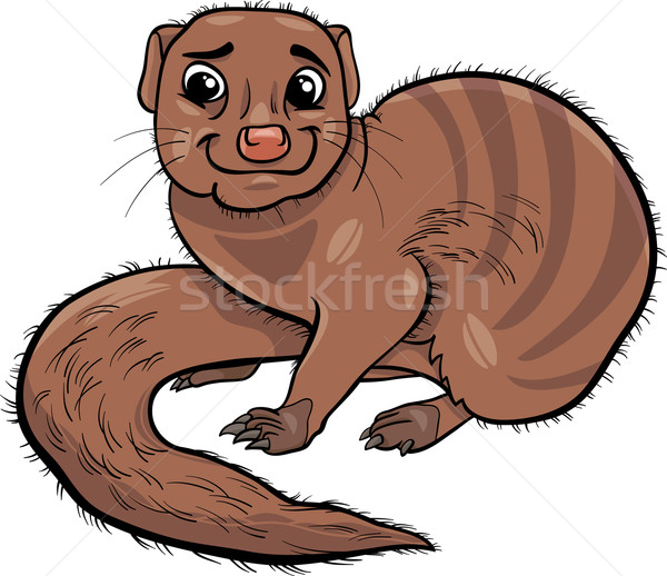 mongoose animal cartoon illustration Stock photo © izakowski