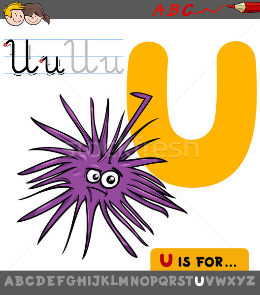 letter u with cartoon urchin sea character Stock photo © izakowski