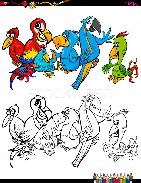 Stockfoto: Cartoon · papegaaien · kleurboek · illustratie · papegaai