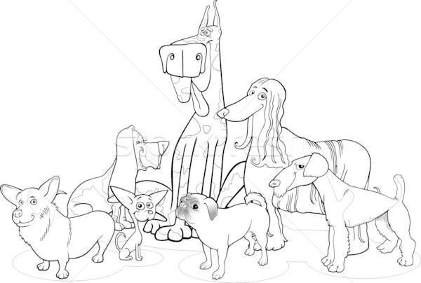 purebred dogs group cartoon for coloring Stock photo © izakowski