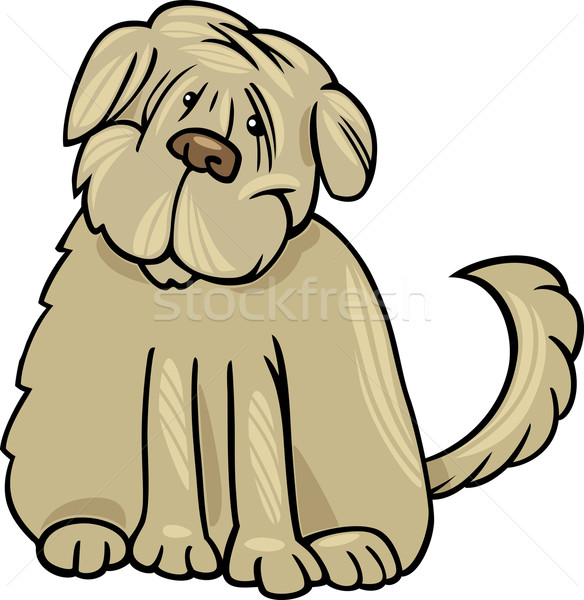 shaggy terrier dog cartoon illustration Stock photo © izakowski