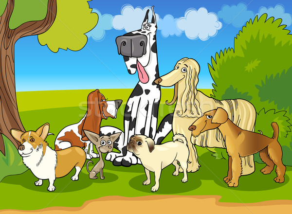 purebred dogs group cartoon illustration Stock photo © izakowski