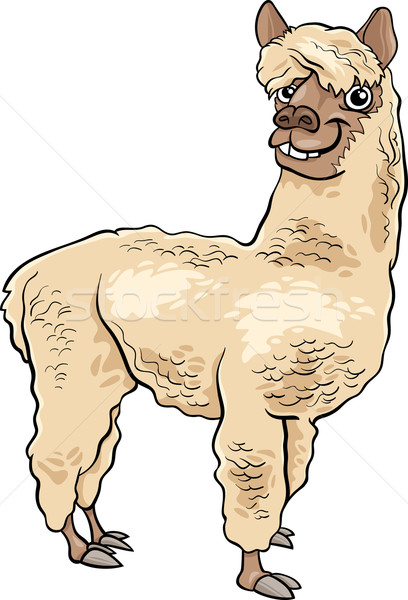 alpaca animal cartoon illustration Stock photo © izakowski