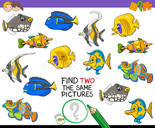 find two the same pictures activity game Stock photo © izakowski