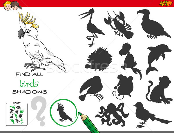 educational shadows game with birds characters Stock photo © izakowski