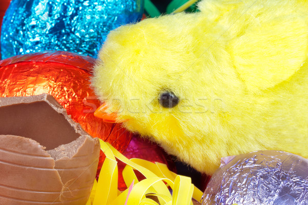 Bolyhos citromsárga csirke csokoládé tojás közelkép Stock fotó © jackethead