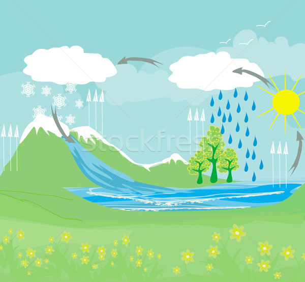 cycle water in nature environment  Stock photo © JackyBrown