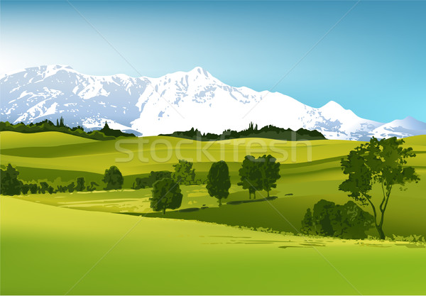 Montagnes maison arbre printemps herbe [[stock_photo]] © jagoda