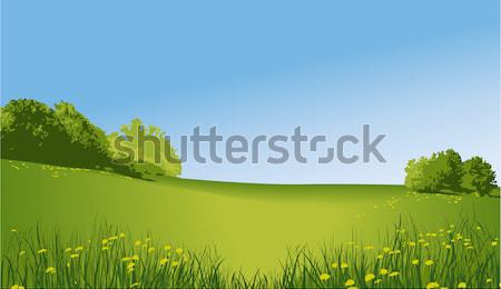 Vidéki táj zöld domb tavasz természet háttér Stock fotó © jagoda