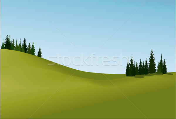 Vidéki táj zöld domb tavasz fű erdő Stock fotó © jagoda