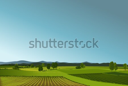 Rural landscape Stock photo © jagoda