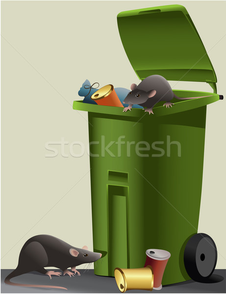 [[stock_photo]]: Rue · fond · trash · peur · animal