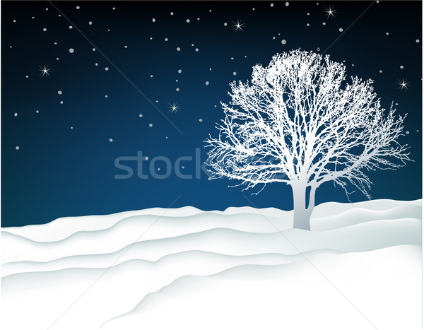 Stock foto: Winter · Landschaft · einsamen · Baum · Natur